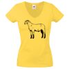 Lady-fit Valueweight V-Neck T-Shirt Thumbnail